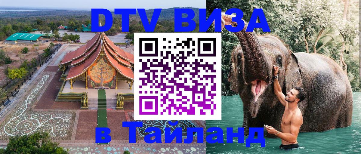 Сколько стоит DTV виза — актуальные цены, оформление даже без документов - 06.12.2025 